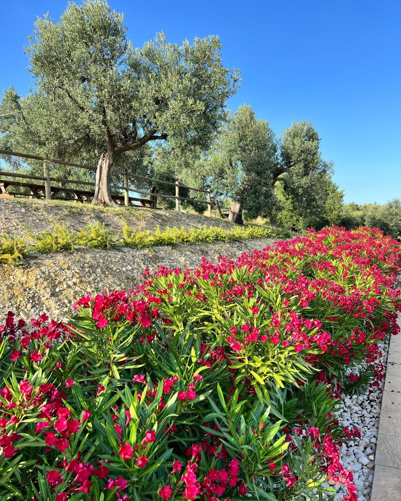 Agrirelais Collelago Massignano Exteriér fotografie